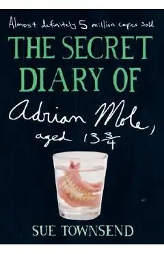The Secret Diary of Adrian Mole, Aged 13 3/4 - Sue Townsend