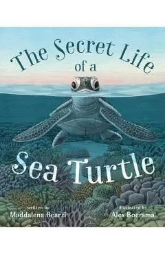 The Secret Life of a Sea Turtle - Maddalena Bearzi