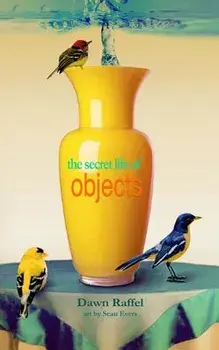 The Secret Life of Objects, Paperback/Dawn Raffel