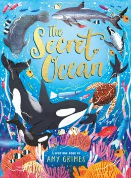The Secret Ocean, Hardback/Amy Grimes