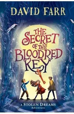 The Secret of the Bloodred Key - David Farr
