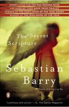 The Secret Scripture - Sebastian Barry