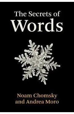 The Secrets of Words - Noam Chomsky