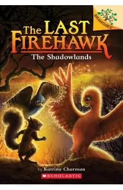 The Shadowlands: A Branches Book (the Last Firehawk #5), Volume 5 - Katrina Charman