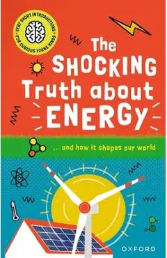 The Shocking Truth about Energy: ... and How It Shapes Our World - Mike Goldsmith