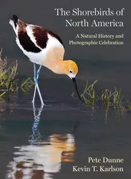 The Shorebirds of North America. A Natural History and Photographic Celebration, Hardback/Kevin T. Karlson