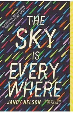 The Sky Is Everywhere - Jandy Nelson