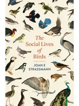 The Social Lives of Birds, Paperback/Joan E. Strassmann
