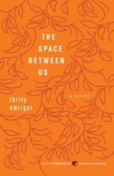 The Space Between Us, Paperback/Thrity Umrigar