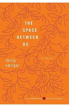 The Space Between Us - Thrity Umrigar