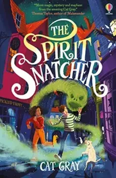 The Spirit Snatcher, Paperback/Cat Gray
