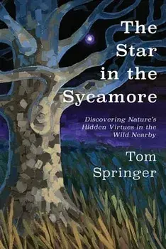 The Star in the Sycamore: Discovering Nature's Hidden Virtues in the Wild Nearby, Paperback/Tom Springer