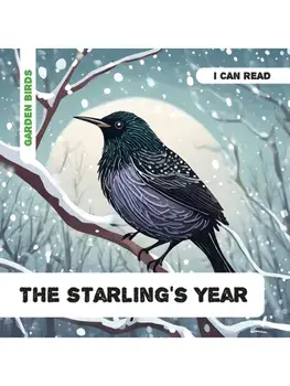 The Starling's Year. Decodable Phonics Reader (Ages 5-7), Paperback/Caroline Petherbridge
