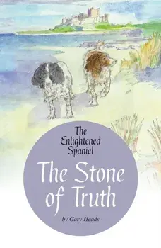 The Stone of Truth, Paperback/Gary Heads