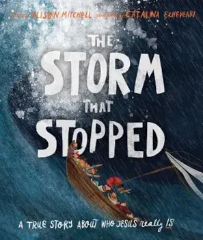 The Storm That Stopped, Hardcover/Alison Mitchell