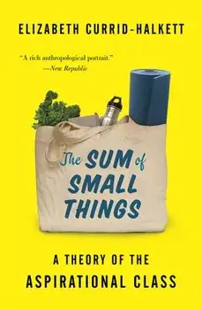 The Sum of Small Things: A Theory of the Aspirational Class, Paperback/Elizabeth Currid-Halkett