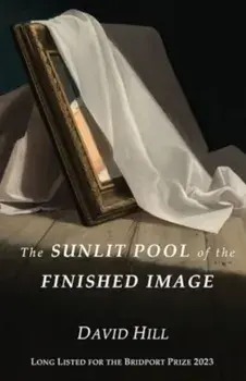 The Sunlit Pool of the Finished Image, Paperback/David Hill