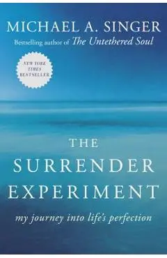 The Surrender Experiment: My Journey Into Life's Perfection - Michael A. Singer