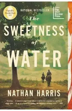 The Sweetness of Water - Nathan Harris