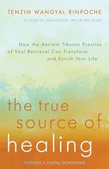 The True Source of Healing: How the Ancient Tibetan Practice of Soul Retrieval Can Transform and Enrich Your Life, Paperback/Tenzin Wangyal Rinpoche