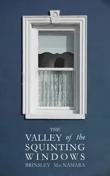 The Valley of the Squinting Windows, Paperback/Brinsley McNamara