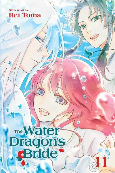 The Water Dragon's Bride - Volume 11 | Rei Toma
