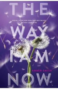 The Way I Am Now - Amber Smith