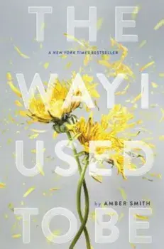 The Way I Used to Be, Hardcover/Amber Smith