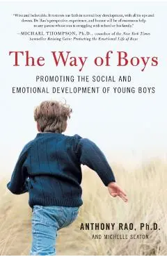 The Way of Boys: Promoting the Social and Emotional Development of Young Boys - Anthony Rao