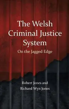The Welsh Criminal Justice System. On the Jagged Edge, Paperback/Richard Wyn Jones