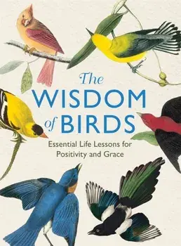 The Wisdom of Birds. Essential Life Lessons for Positivity and Grace, Hardback/Alison Davies