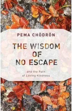 The Wisdom of No Escape: And the Path of Loving-Kindness - Pema Chodron