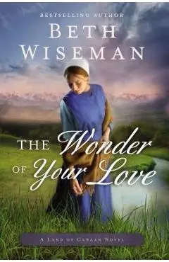 The Wonder of Your Love - Beth Wiseman