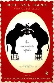 The Wonder Spot, Paperback/Melissa Bank