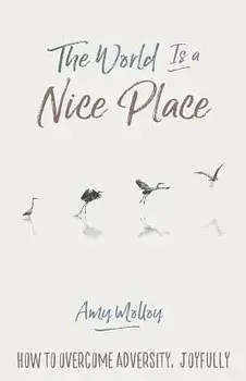 The World Is a Nice Place: How to Overcome Adversity, Joyfully, Paperback/Amy Molloy