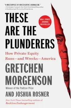 These Are the Plunderers. How Private Equity Runs—and Wrecks—America, Paperback/Joshua Rosner
