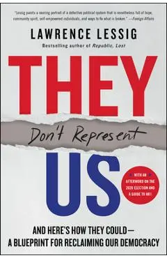 They Don't Represent Us: And Here's How They Could--A Blueprint for Reclaiming Our Democracy - Lawrence Lessig