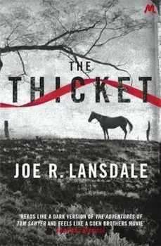 Thicket, Paperback/Joe R Lansdale