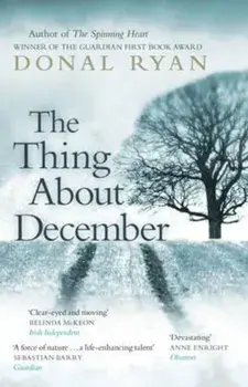 Thing About December, Paperback/Donal Ryan