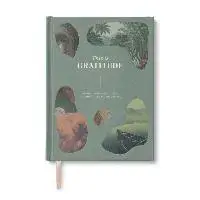 This Is Gratitude: Activities to Help You See the Good That's All Around You, Hardcover/M. H. Clark