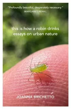 This Is How a Robin Drinks: Essays on Urban Nature - Joanna Brichetto