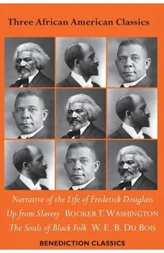 Three African American Classics: Narrative of the Life of Frederick Douglass, Up from Slavery: An Autobiography, The Souls of Black Folk - Frederick Douglass