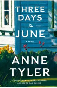 Three Days in June - Anne Tyler