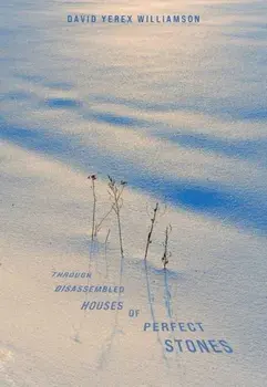 Through Disassembled Houses of Perfect Stones, Paperback/David Williamson
