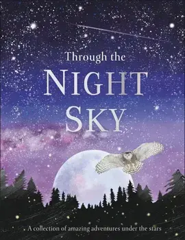 Through the Night Sky/***