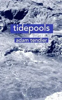 tidepools, Paperback/Adam Tendler