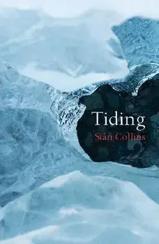 Tiding, Paperback/Sian Collins