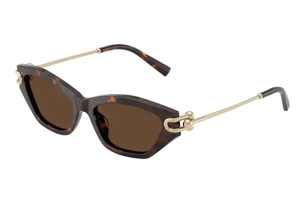 Tiffany & Co. TF4231U 80153G