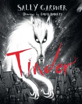 Tinder, Hardback/Sally Gardner
