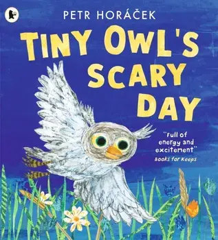 Tiny Owl's Scary Day, Paperback/Petr Horacek